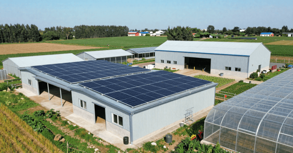 Impianti fotovoltaici installati sui tetti di edifici agricoli nell’ambito del bando Facility Parco Agrisolare 2026.